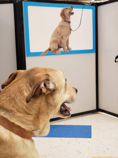 Pet Supply Store «Petco», reviews and photos, 1851 Sunrise Hwy, Bay Shore, NY 11706, USA