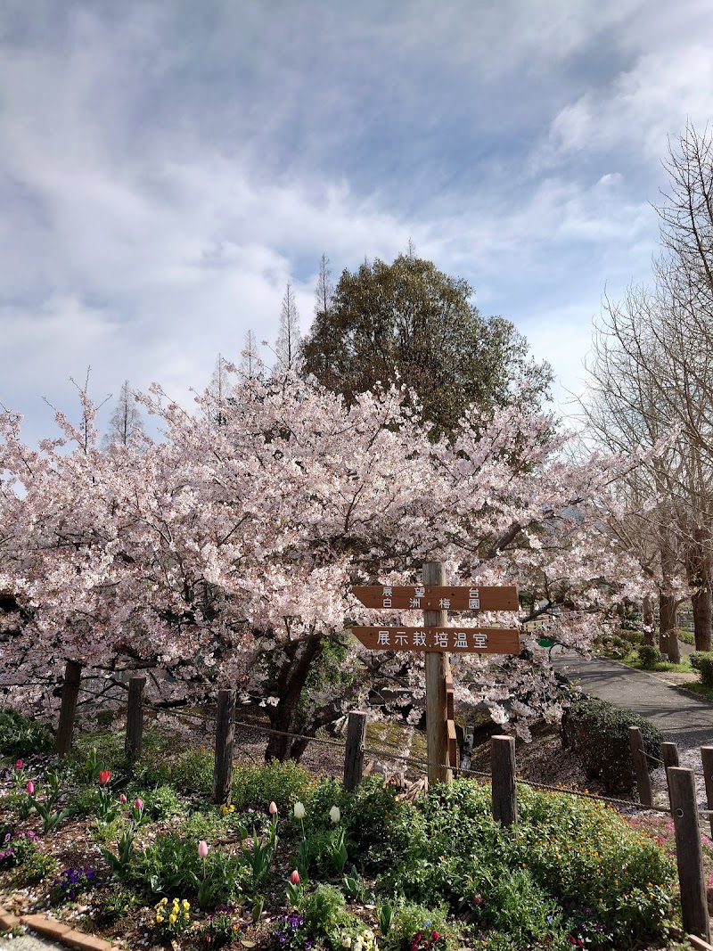 花農丘公園・北九州市立総合農事センター