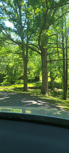 Vineyard «Naked Mountain Winery & Vineyards», reviews and photos, 2747 Leeds Manor Rd, Markham, VA 22643, USA