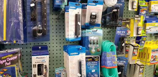 Pet Supply Store «Petland Discounts - Greenpoint», reviews and photos, 846 Manhattan Ave, Brooklyn, NY 11222, USA