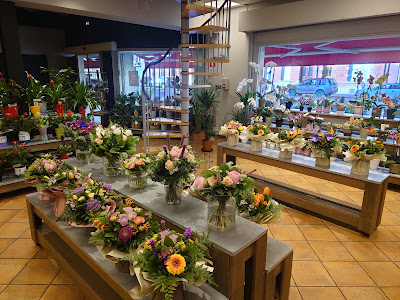 Histoires de Fleurs à Valenciennes