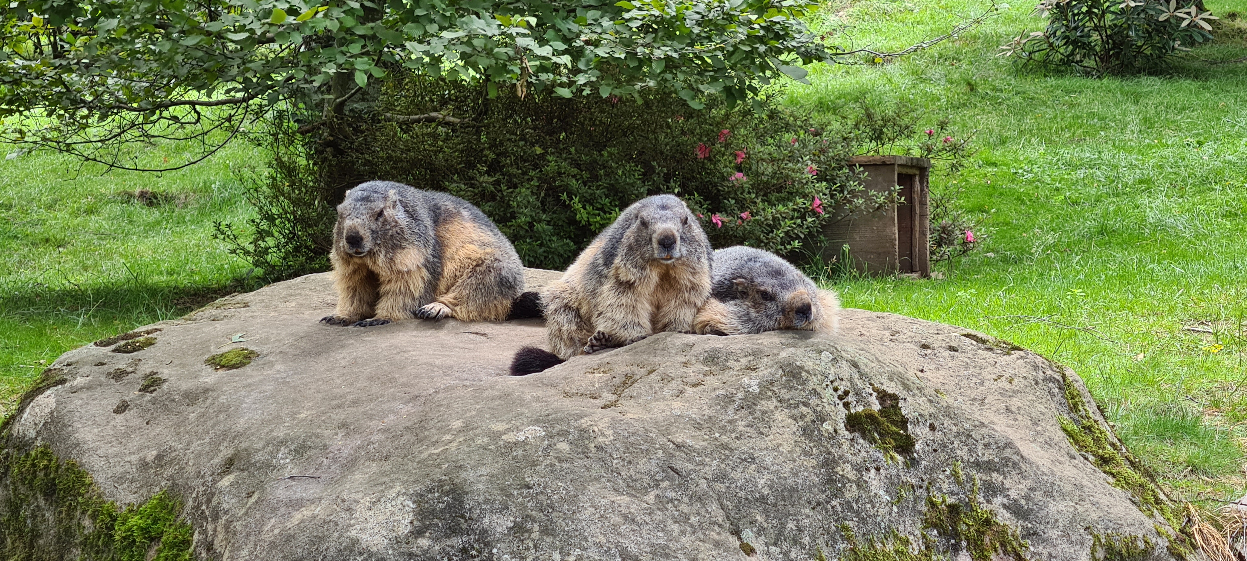 Photo n° 4 de l'avis de Audrey.. fait le 10/07/2021 à 21:37