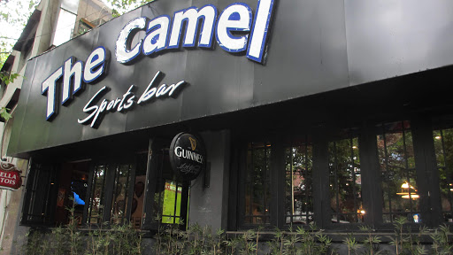 The Camel Sports Bar