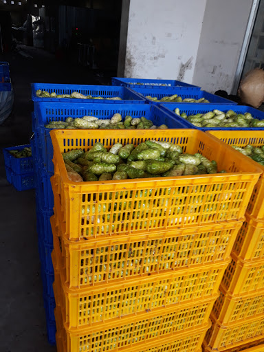 Công Ty Xuất Khẩu Trái Nhàu Cà Mau