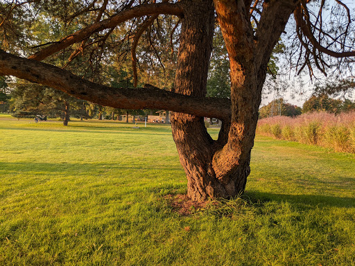 Public Golf Course «Meridian Sun Golf Club», reviews and photos, 1018 Haslett Rd, Haslett, MI 48840, USA