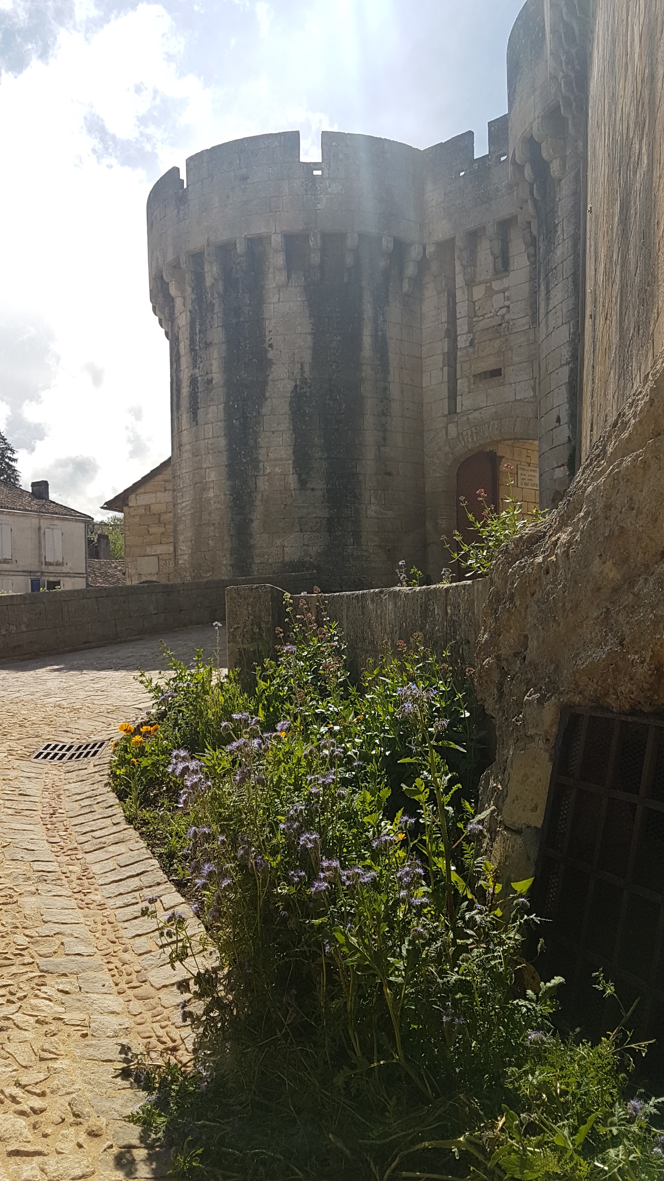 Photo n° 7 de l'avis de La.e fait le 26/04/2019 à 12:05