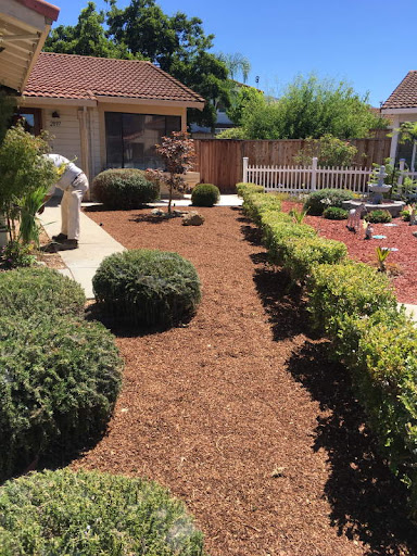 Gonzalez Gardening Bay Area - Quality Lawn Service, Professional Landscaping Specialist