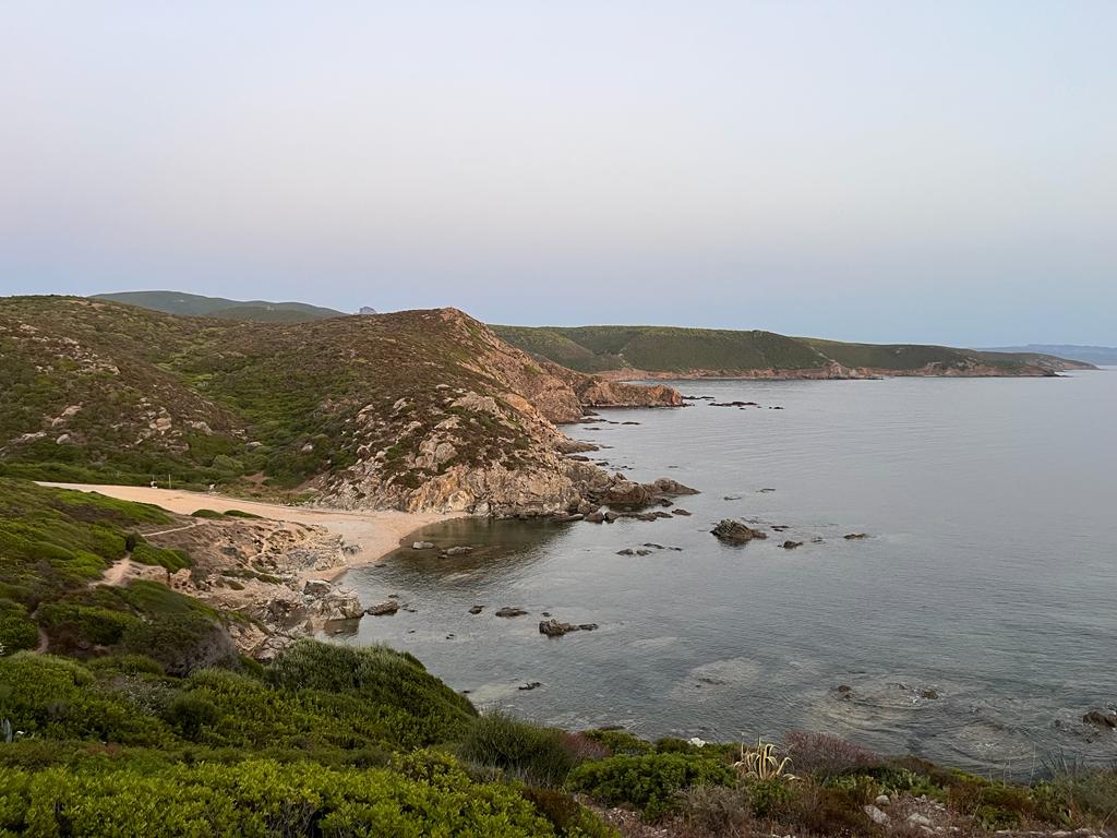 Foto von Cala Is Cannisonis Beach und seine wunderschöne Landschaft