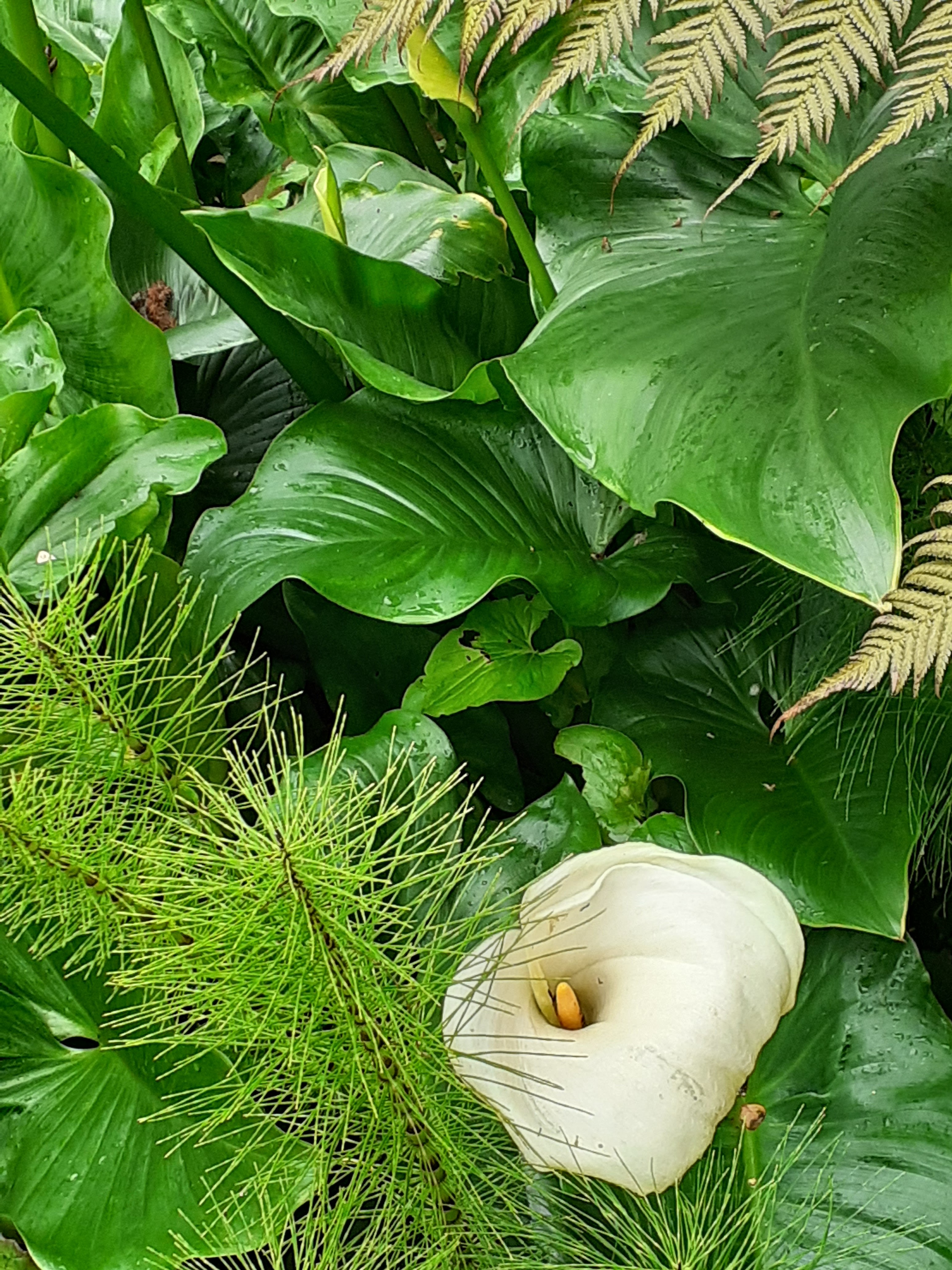 Photo n° 24 de l'avis de Kirenia.e fait le 22/05/2021 à 17:27