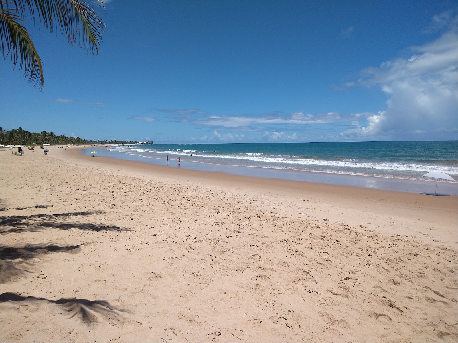 Photo de Praia de Jenipabu zone sauvage