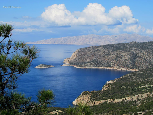 Comentarii opinii despre Δημαρχείο Ιαλυσού