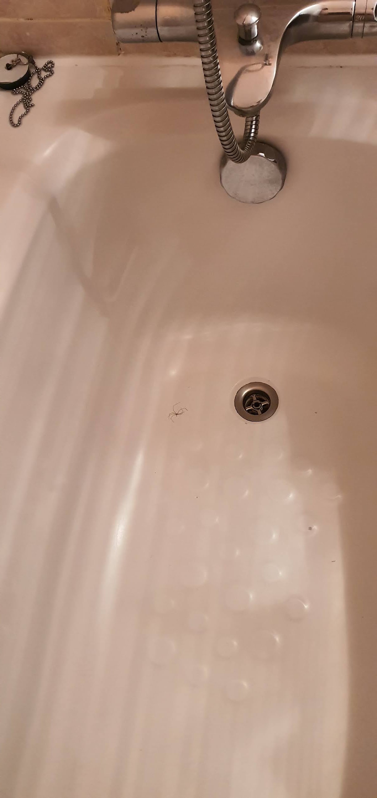 Photo n° 12 de l'avis de Romain.a fait le 22/06/2020 à 08:43
