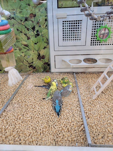 Pet Supply Store «PetSmart», reviews and photos, 9905 E Independence Blvd, Matthews, NC 28105, USA