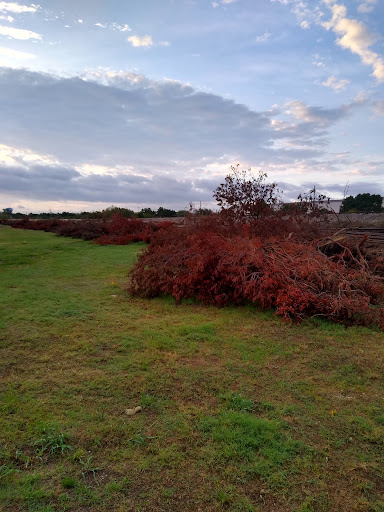 Nature Preserve «Elm Fork Nature Preserve Trail Entrance», reviews and photos, 2335 Sandy Lake Rd, Carrollton, TX 75006, USA