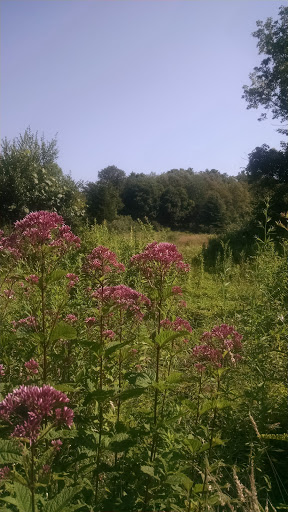 Park «Sweets Knoll State Park», reviews and photos, 1387 Somerset Ave, Dighton, MA 02715, USA