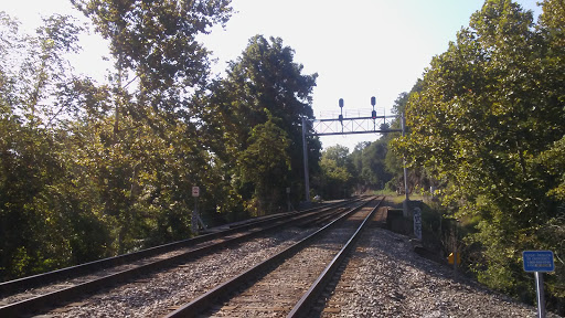 Restaurant «Salvage Station», reviews and photos, 468 Riverside Dr, Asheville, NC 28801, USA