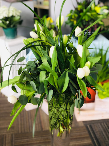 Florist «International Florist Gift Shop & Fruit Baskets Inc.», reviews and photos, 283-87 Lafayette St, Newark, NJ 07105, USA