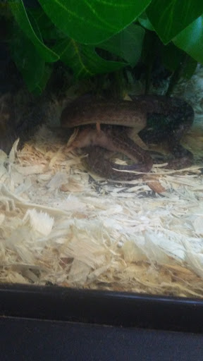 Pet Supply Store «Petco Animal Supplies», reviews and photos, 550 Providence Hwy, Dedham, MA 02026, USA