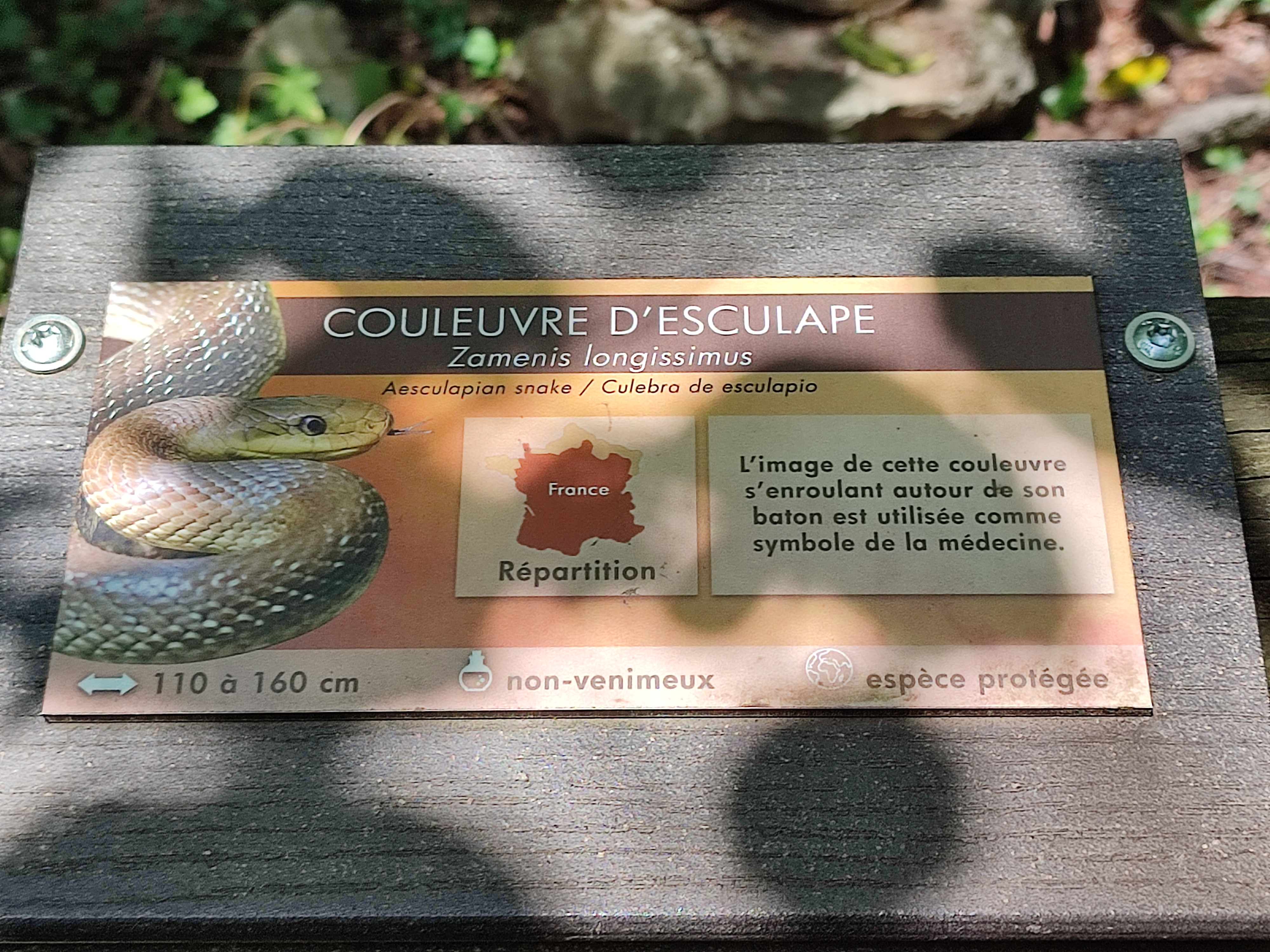 Photo n° 7 de l'avis de Julien.a fait le 02/06/2023 à 04:00