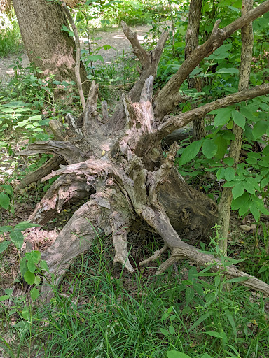 Nature Preserve «Princess Ledges Nature Preserve», reviews and photos, 4361 Spruce Ave, Brunswick, OH 44212, USA
