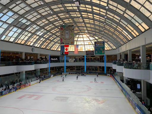 Ice skating club Edmonton