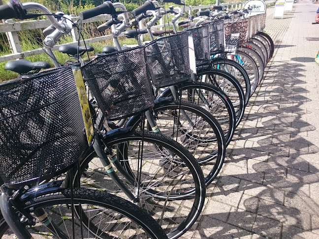 Albertslund Cykler - Cykelbutik