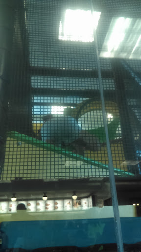 Fast Food Restaurant «Chick-fil-A», reviews and photos, 2585 E Hwy 50, Clermont, FL 34711, USA