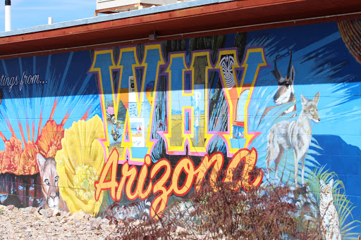 Convenience Store «Why Not Travel Store», reviews and photos