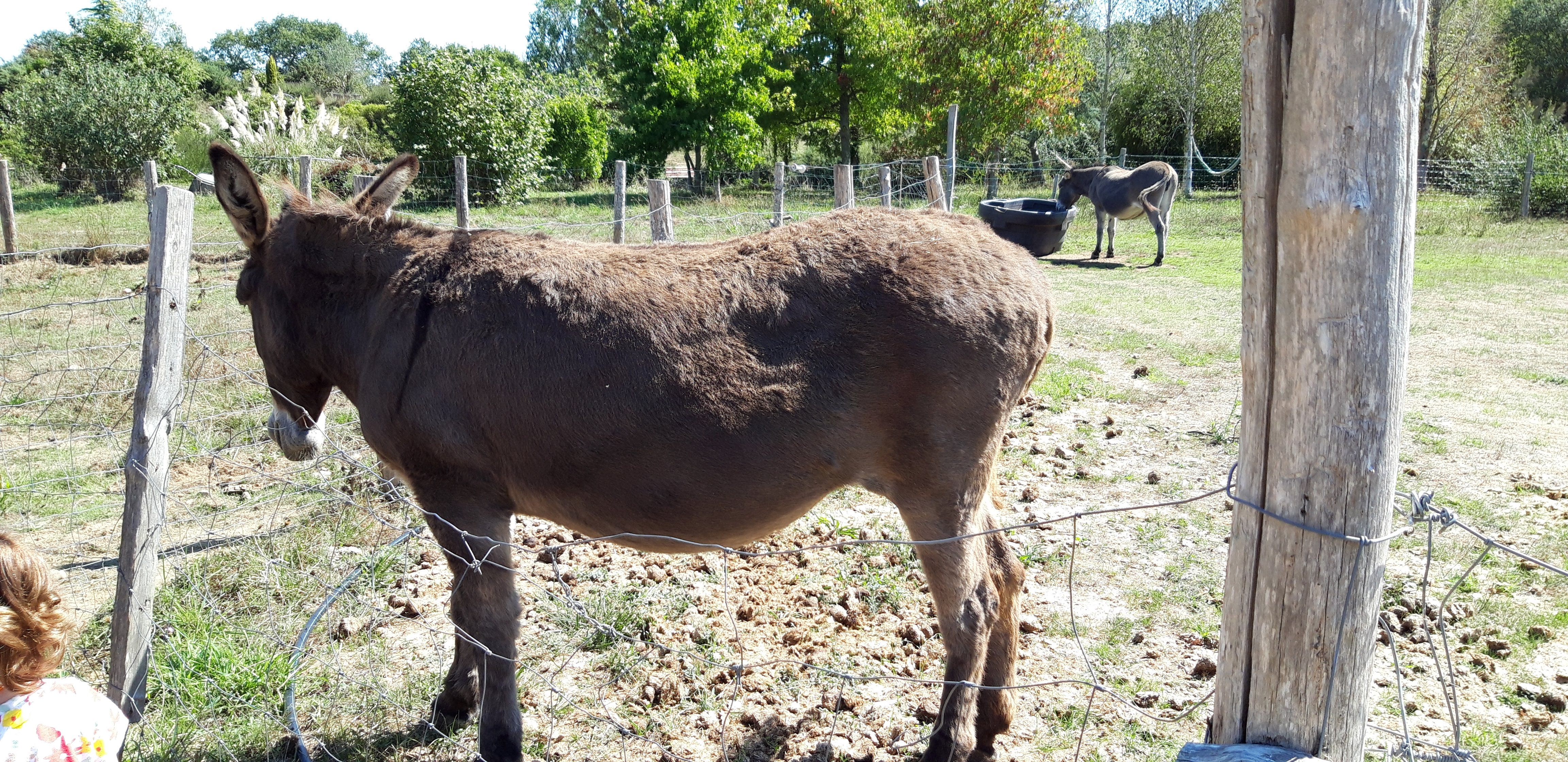Photo n° 4 de l'avis de Alain.a fait le 31/08/2022 à 13:26