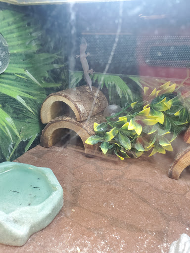 Pet Supply Store «PetSmart», reviews and photos, 601 Centerview Blvd, Kissimmee, FL 34741, USA