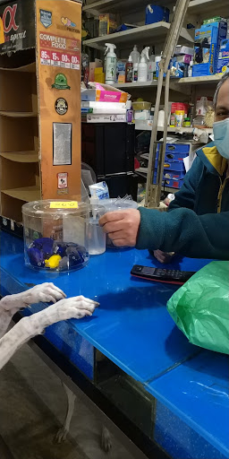 Tienda de Animales la Carolina - Alcala de Henares