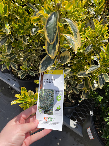 Home Improvement Store «The Home Depot», reviews and photos, 5410 Perkiomen Ave, Reading, PA 19606, USA