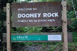Dooney Rock Forest image