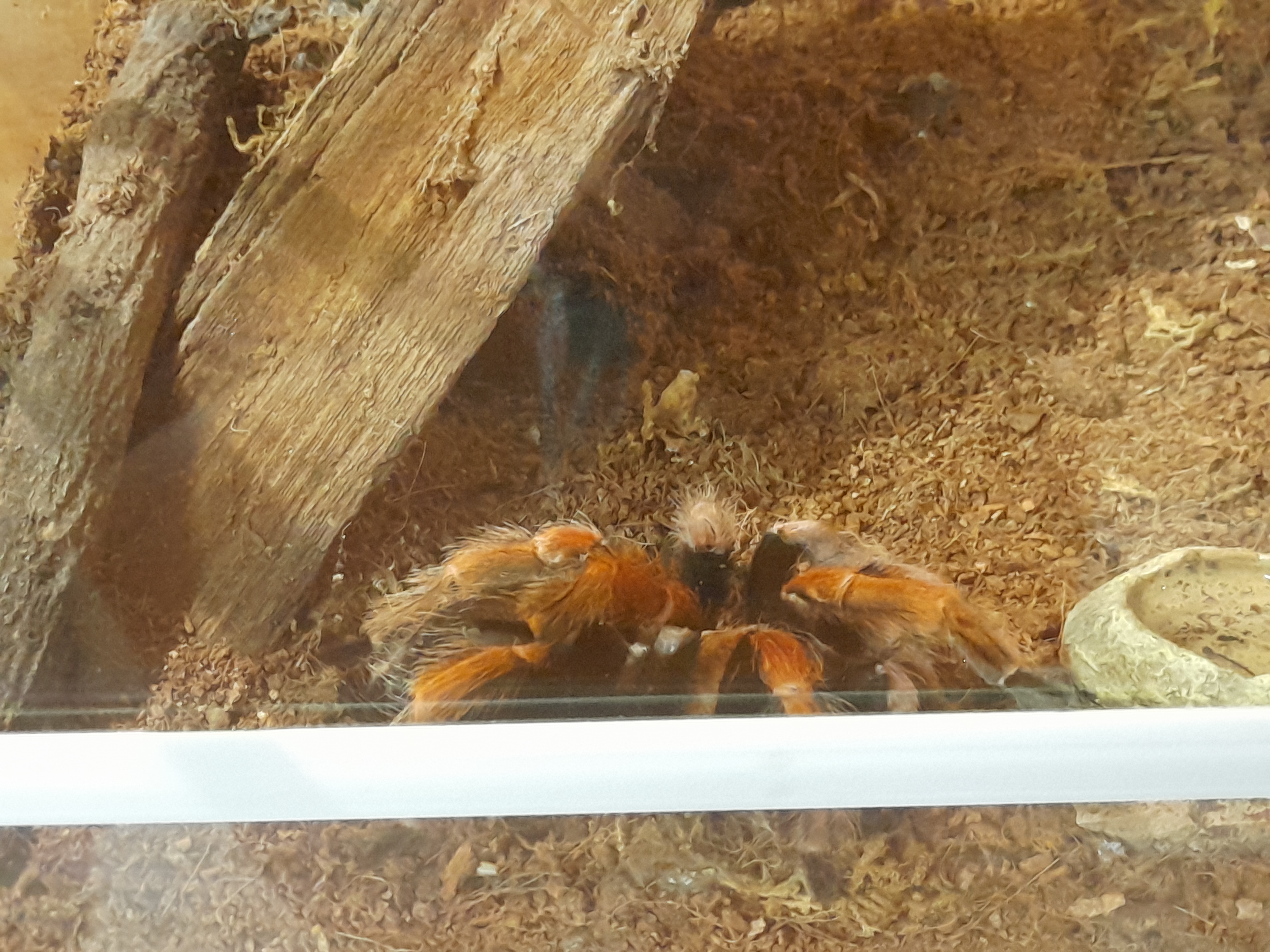 Photo n° 1 de l'avis de Cléo.a fait le 19/07/2022 à 15:45