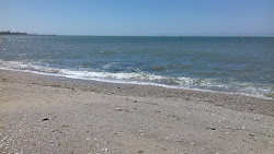 Foto di Plage Port-au-Loup zona selvaggia