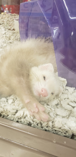 Pet Supply Store «Petco Animal Supplies», reviews and photos, 187 Stonebrook Pl, Jackson, TN 38305, USA