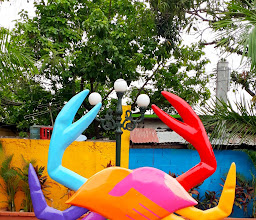 Paseo Virgen Del Carmen Tampico photo