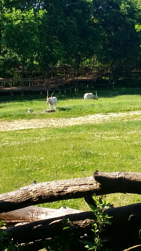 Zoo «Blank Park Zoo», reviews and photos, 7401 SW 9th St, Des Moines, IA 50315, USA