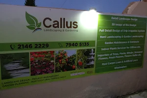 Callus Garden Centre image