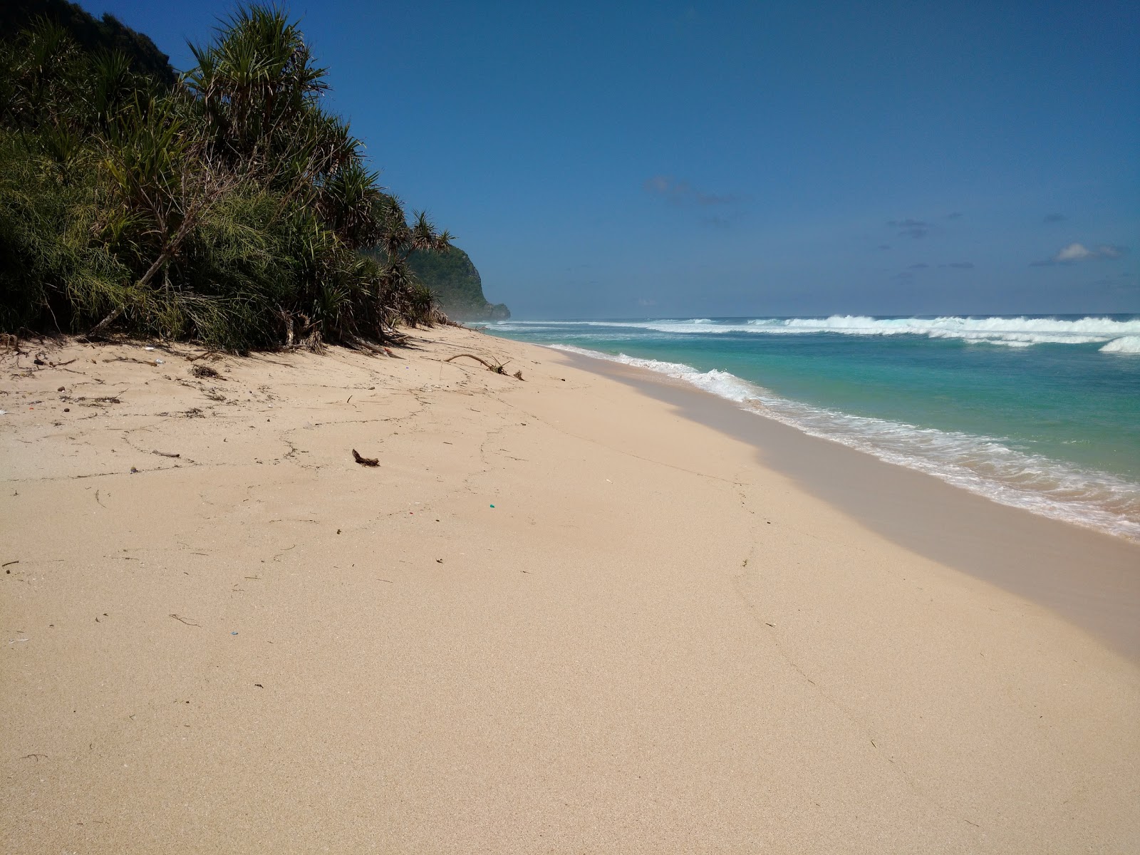 Photo of Nunggalan Beach wild area