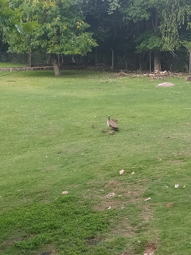 Comentarios y opiniones de Parque Rodó