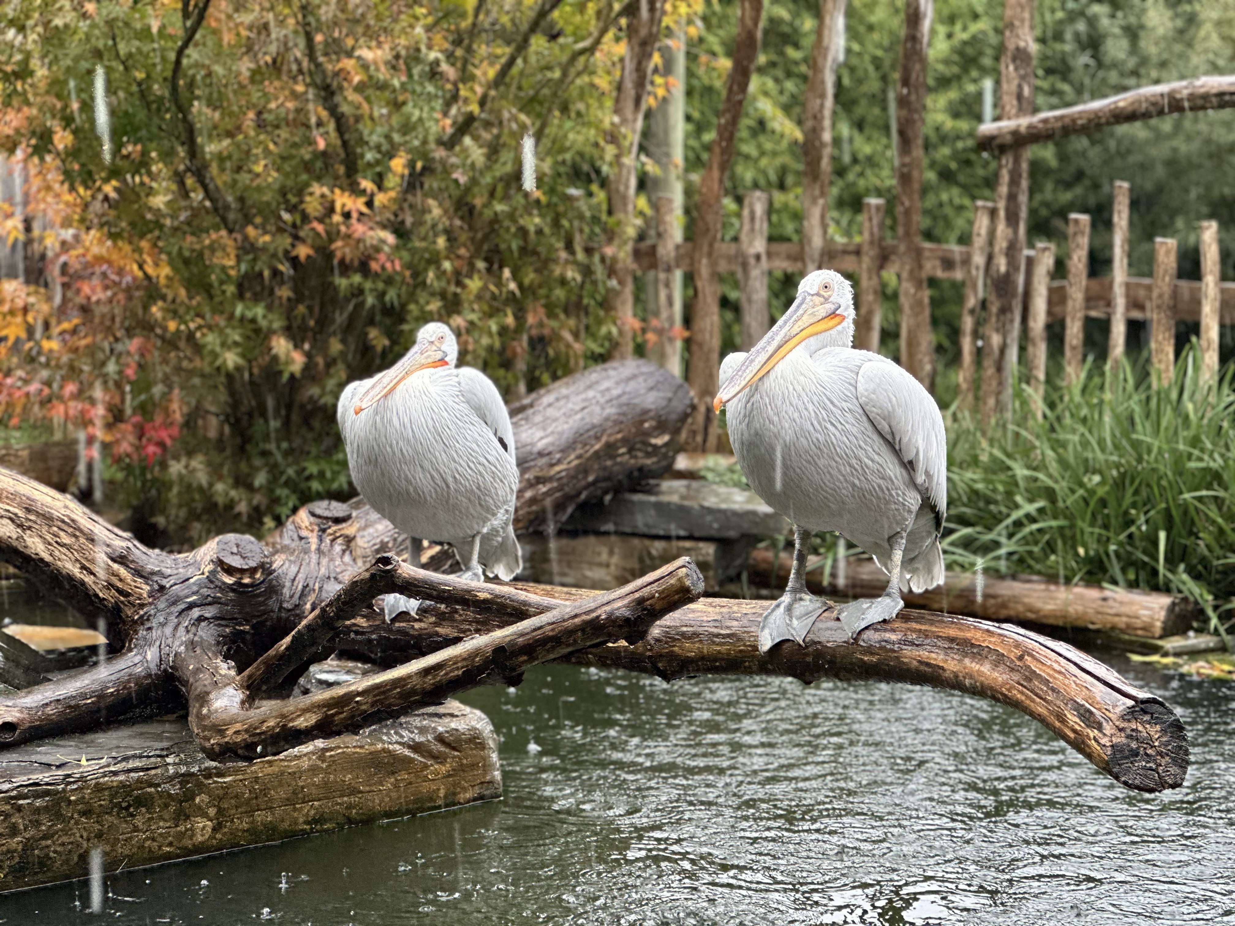 Photo n° 1 de l'avis de Vincent.e fait le 04/11/2023 à 07:14