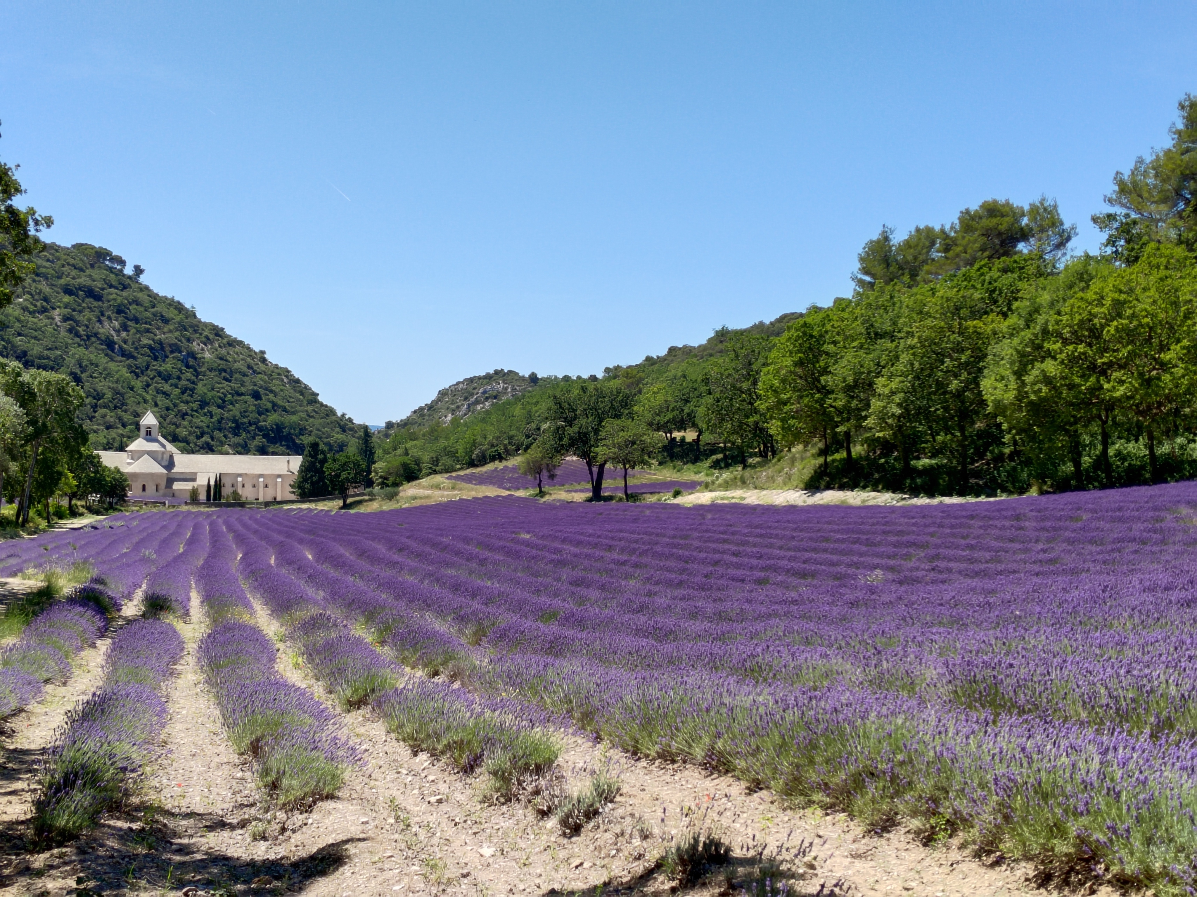 Photo n° 12 de l'avis de Stéphane.y fait le 24/07/2023 à 19:29