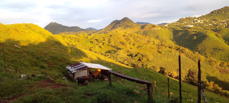 Veterinaria Yáñez Barrón
