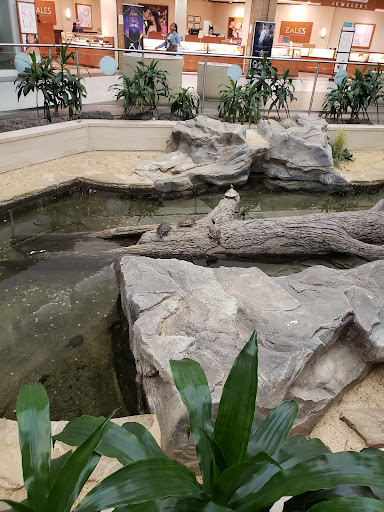 Shopping Mall «Mall St. Vincent», reviews and photos, 1133 St Vincent Ave #200, Shreveport, LA 71104, USA