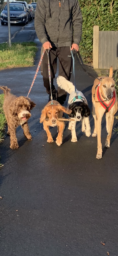 Handy pet services