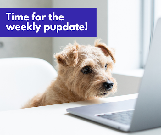 Pet Supply Store «Grrs & Purrs», reviews and photos, 116 N Woodland Blvd, DeLand, FL 32720, USA