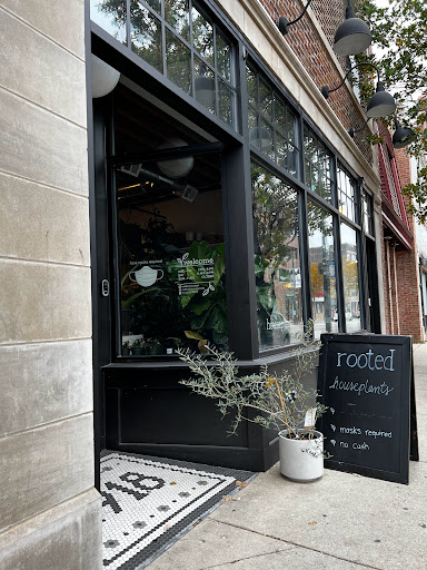 Pollen, 2918 N Milwaukee Ave, Chicago, IL 60618, USA, 