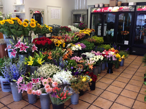 Florist «Solano Florist», reviews and photos, 1863 Solano Ave, Berkeley, CA 94707, USA