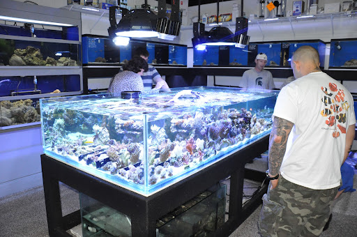 Tropical Fish Store «Elegant Reef - Tropical Fish Studio», reviews and photos, 301 W Nakoma Dr, San Antonio, TX 78216, USA